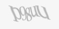 Ахоўны код