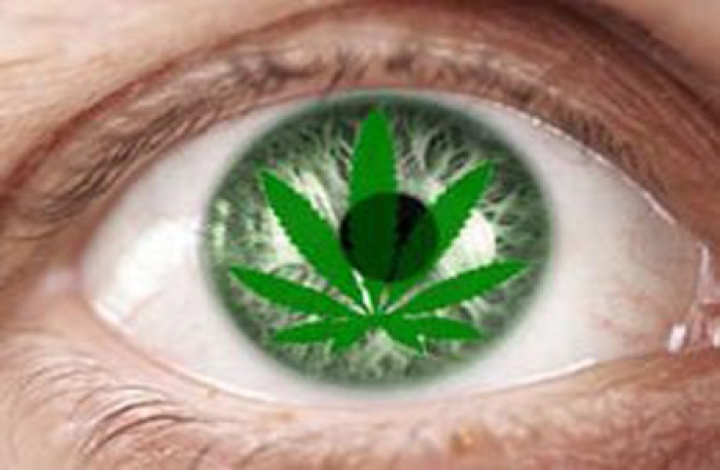 Грех ли пробовать «легкие» наркотики, марихуану и спайс?