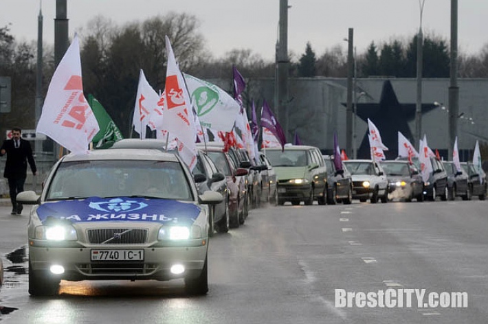 8 марта в Бресте провели автопробег против абортов