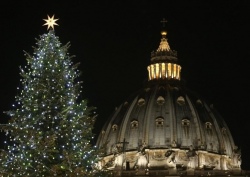 Рождественскую елку для Ватикана привезут из Баварии