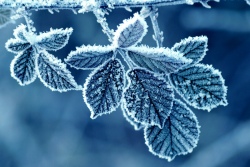 Сильные морозы в Беларуси спадут после православного Рождества