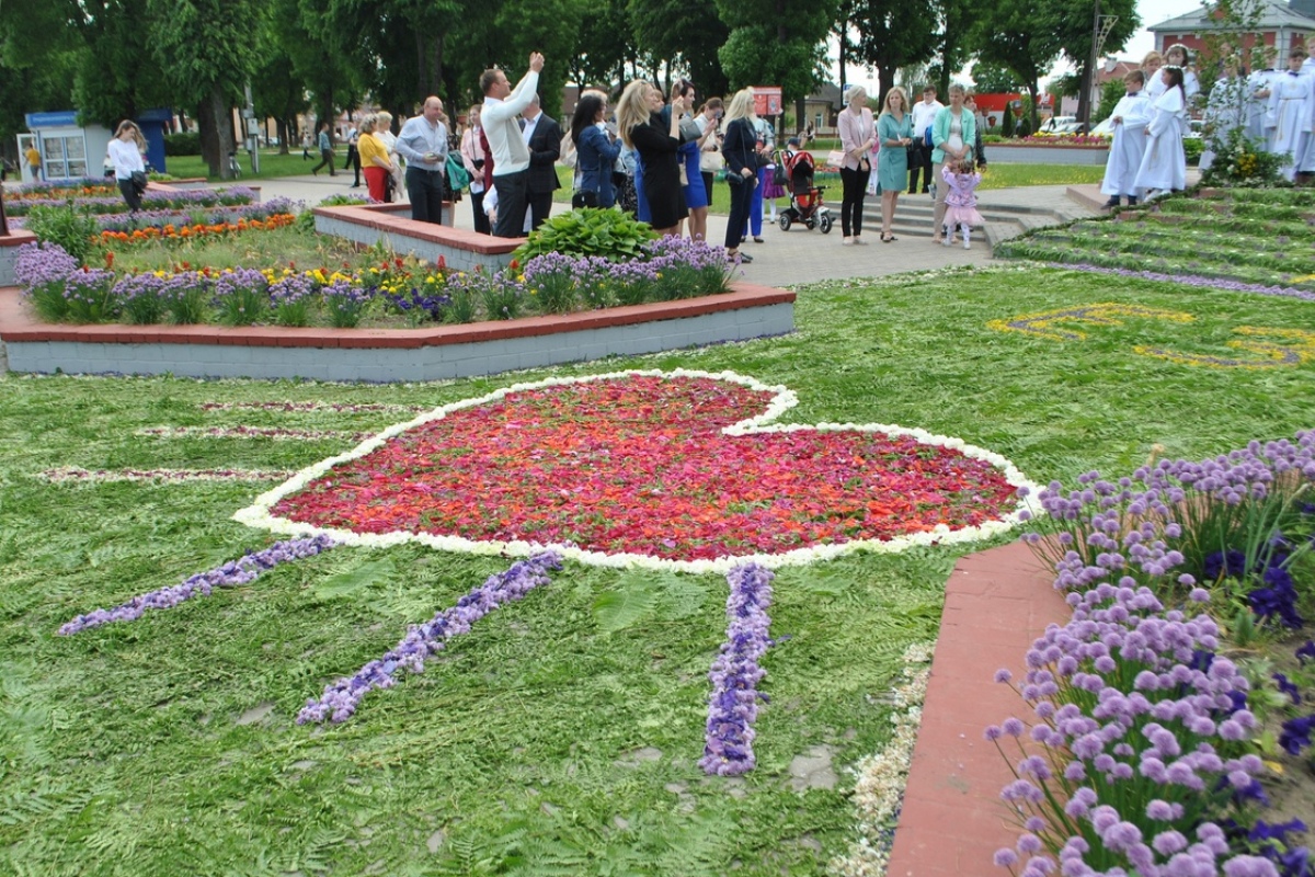 Готовились неделю. Посмотрите, какие ковры из живых цветов сделали в Ивье