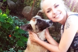 Для собаки-пилигрима, избитой в Долгиново, по-прежнему ищут хозяев