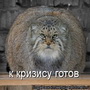 max-prox аватар