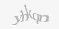 Защитный код