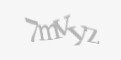 Защитный код
